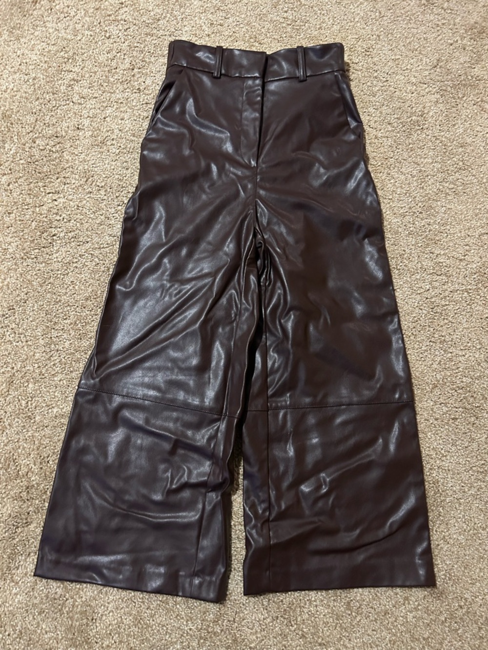 H&M Dark Brown Faux Leather Pants